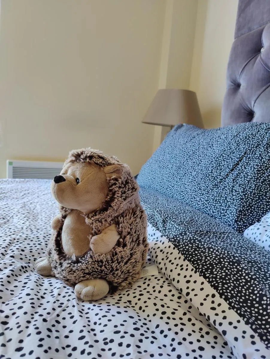Image 3 of Comfort Manchester City Apartment 2 Bedrooms 2 Bathrooms – Walks to AO Arena, Shopping & Business Centre in minutes